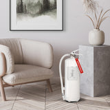 Brandsläckare 6 kg - Vit / Vit